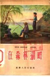 在森林湖畔