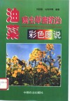油菜病虫草害防治彩色图说