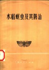 水稻螟虫及其防治