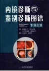 内镜诊断与鉴别诊断图谱  下消化道