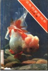 金鱼的家庭饲养