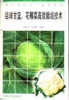 结球甘蓝、花椰菜高效栽培技术