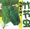伪装大师竹节虫