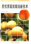 杏优质高效栽培新技术