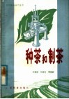 种茶和制茶
