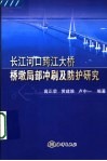 长江河口跨江大桥桥墩局部冲刷及防护研究