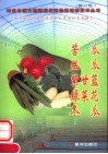 苦瓜  丝瓜  紫甘蓝  绿菜花  冬瓜  第2版