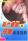 高产母猪及仔猪快速饲养
