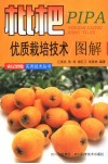 枇杷优质栽培技术图说