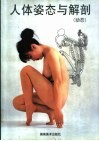 人体姿态与解剖  动态