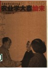 农业学大寨始末