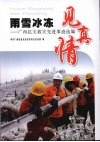 雨雪冰冻见真情：广西抗灾救灾选进事迹选编