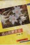 远山的野百合 封面