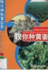 教你种黄姜
