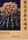 菊花赏鉴与培育