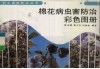 棉花病虫害防治彩色图册