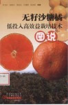 无籽砂糖橘低投入高收益栽培技术图说 封面