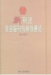 新刑法罪名量刑与案例通览  下