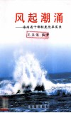 风起潮涌  海南省干部制度改革实录