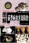 图解菇类病虫害及防治
