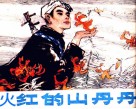 火红的山丹丹 电子书封面