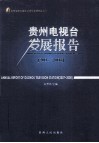 贵州电视台发展报告