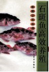 石斑鱼高效养殖 封面