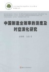 中国制造业效率的测度及时空演化研究