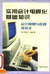 实用会计电算化基础知识  会计原理与数据库技术