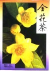 金花茶