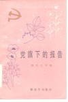 党旗下的报告  报告文学集