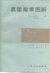 真菌毒素图解