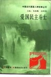 爱国民主斗士