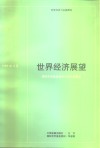 世界经济展望  国际货币基金组织工作人员概览  1989年4月