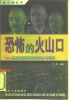 恐怖的火山口  德国情报机构的过去与现在