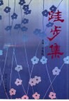 跬步集
