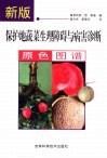 新版保护地蔬菜生理障碍与病害诊断原色图谱