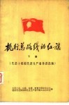 执行总路线的红旗  下  先进小组和先进生产者事迹选编