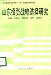 山东投资战略选择研究 封面