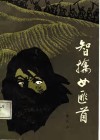 智擒女匪首