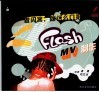 Flash MV制作 封面