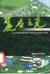 麓谷之光  长沙国家高新技术产业开发区创新与实践