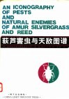 荻芦害虫及天敌图谱