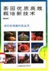 茶园优质高效栽培新技术