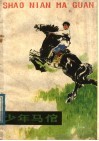 少年马倌