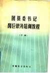 团县委书记岗位职务培训教程  下