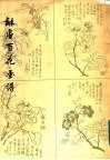 龢庵百花画谱