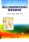 澜沧江构造演化与铜多金属成矿作用综合信息研究
