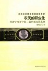 农民的职业化  社会学视角中的三农问题及其出路