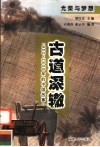 古道深辙  960-1840年的中国故事